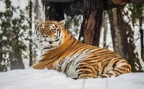 Zoo von Ljubljana
