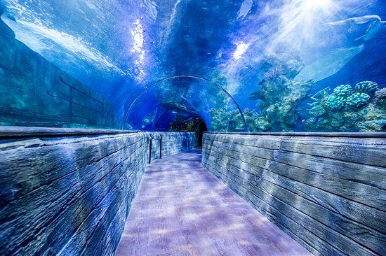 Nationalaquarium Malta