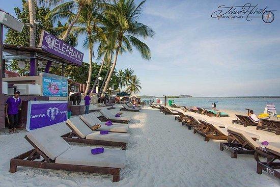 Elephant Beach Club