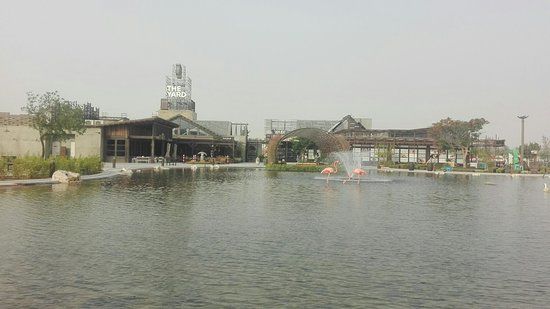 The Yard