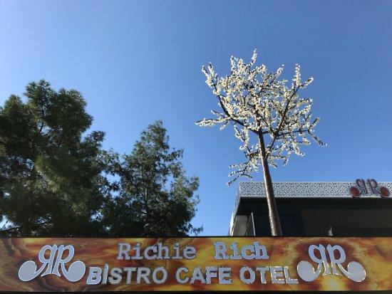Richie Rich Bistro Cafe Hotel