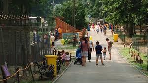 Tiergarten Timișoara