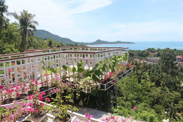 Lamai Viewpoint