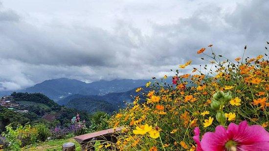 Doi Mon Cham