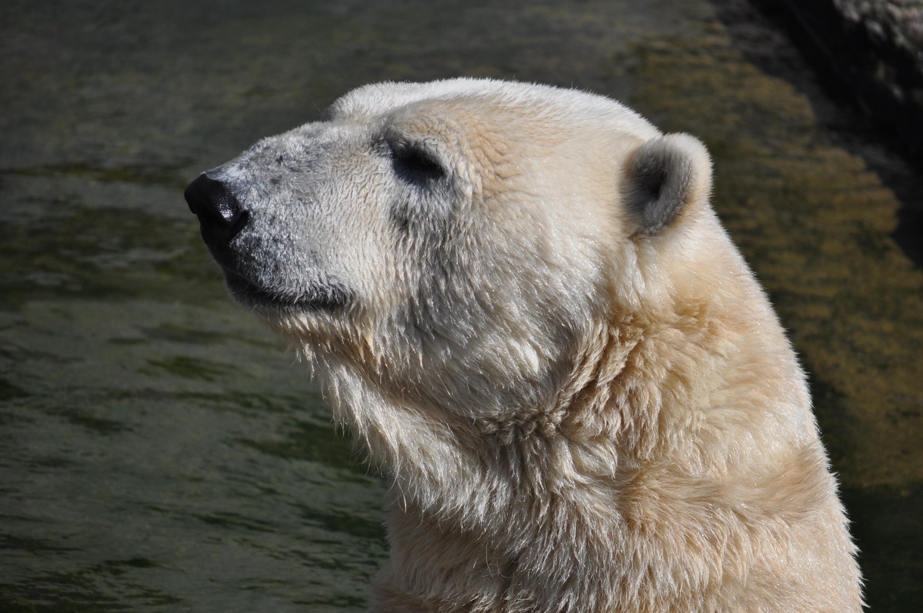 Zoo Rostock