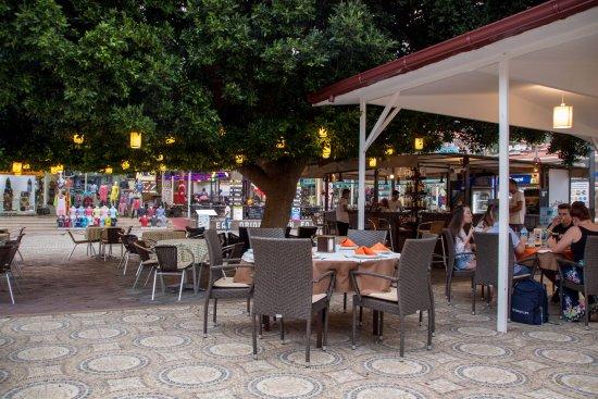 Dolphin Restaurant Cafe & Bar