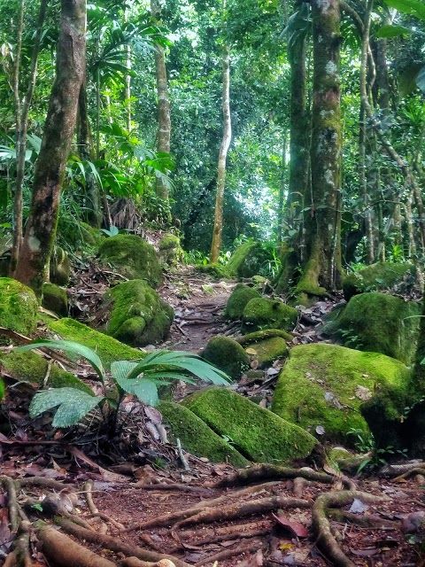 Morne Blanc Trail