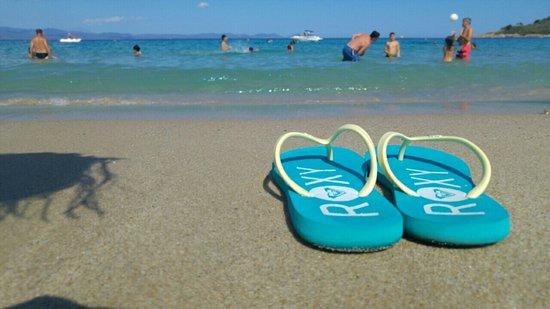 Strand von Xenia