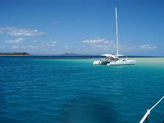 Coral Cats - Day Trips