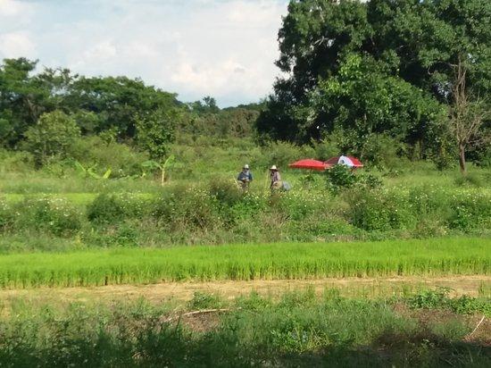 Chiang Mai Bike Adventure