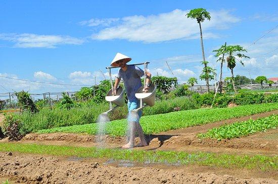 Hoi An Funny Tour