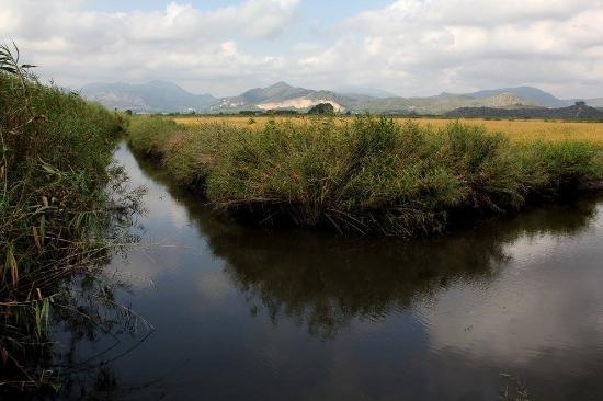 Parque Natural del Marjal de Pego-Oliva