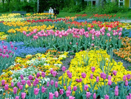 Kurpark