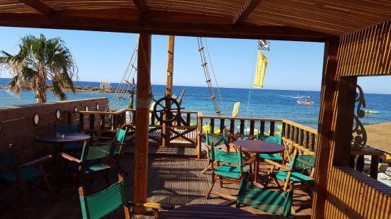 Dolphin Beach Bar