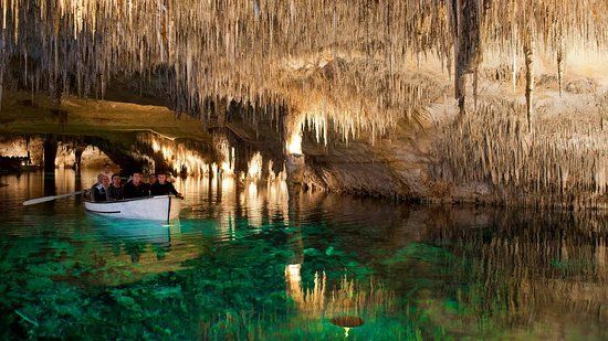 Coves del Drac