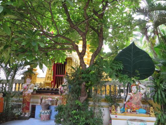 Wat Phan Tong