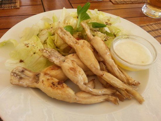 Halaszkert