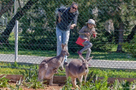 Zoo Paphos