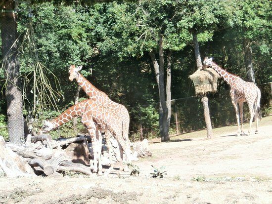 Brünner Zoo