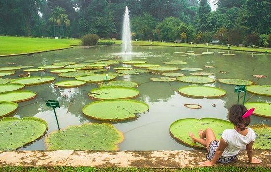 Kebun Raya Bogor