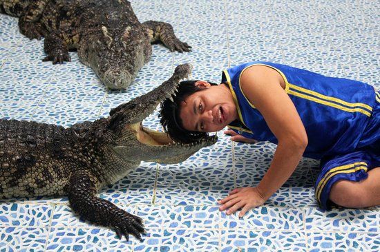 Crocodile & Snake Show Koh Chang